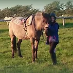Ferienzimmervermietung Reitferien * Skaerbaek