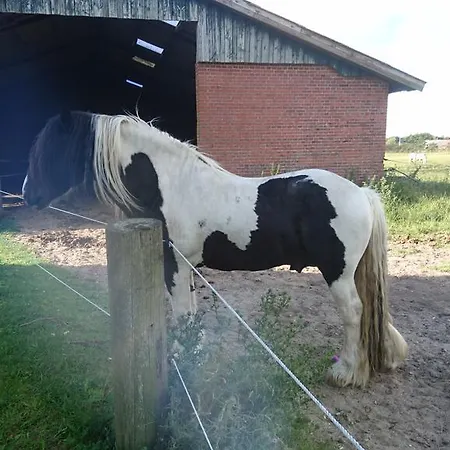 Ferienzimmervermietung Reitferien Country house *