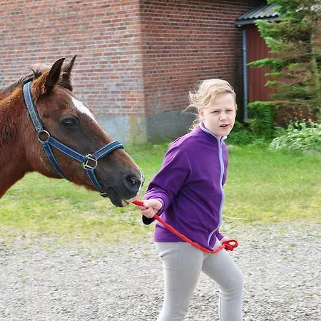 Ferienzimmervermietung Reitferien Séjour à la campagne *