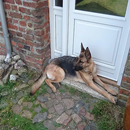 Ferienzimmervermietung Reitferien Country house *