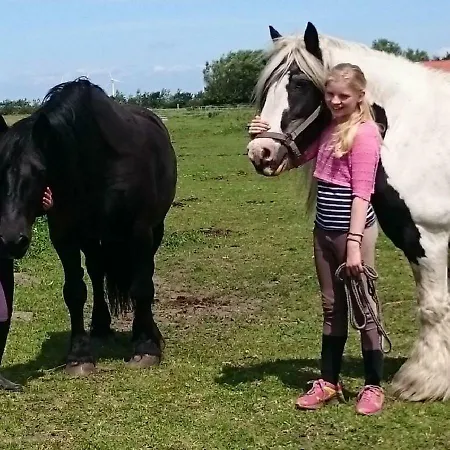 Ferienzimmervermietung Reitferien Skaerbaek
