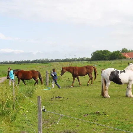 Ferienzimmervermietung Reitferien * Skaerbaek
