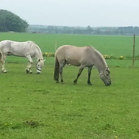 Ferienzimmervermietung Reitferien Country house Skaerbaek