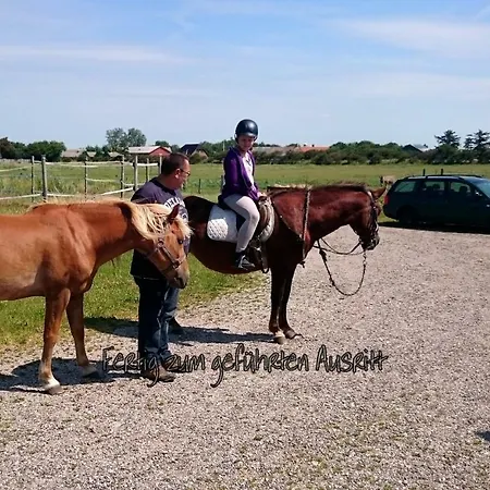 Ferienzimmervermietung Reitferien Country house
