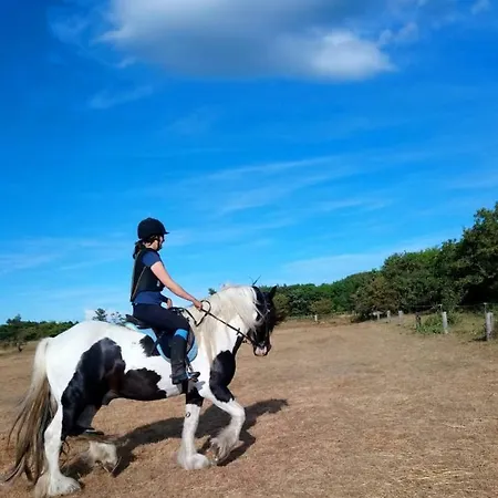 Ferienzimmervermietung Reitferien Skaerbaek