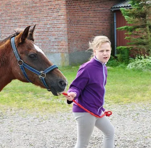 Ferienzimmervermietung Reitferien Venkovský dům *