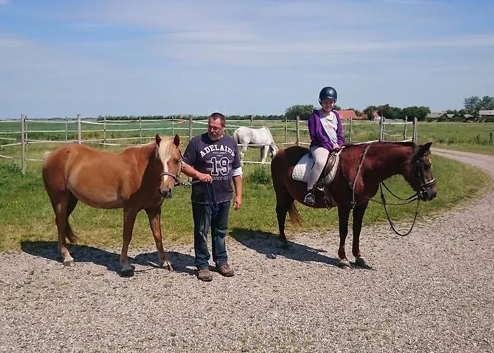 Ferienzimmervermietung Reitferien *