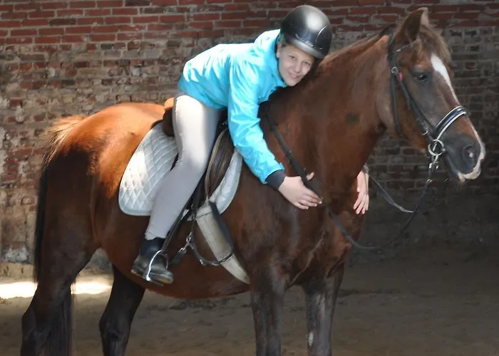 Ferienzimmervermietung Reitferien *